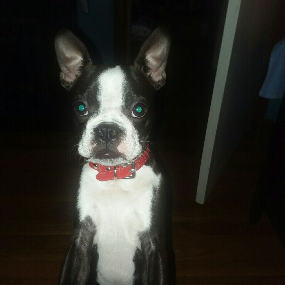 Meet your Posher, Teresa